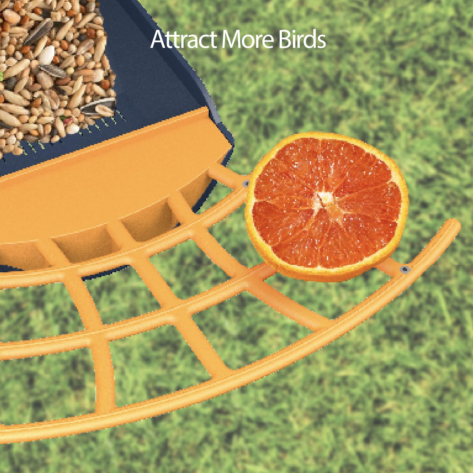 1080P HD camera view of Birdkiss Smart Bird Feeder