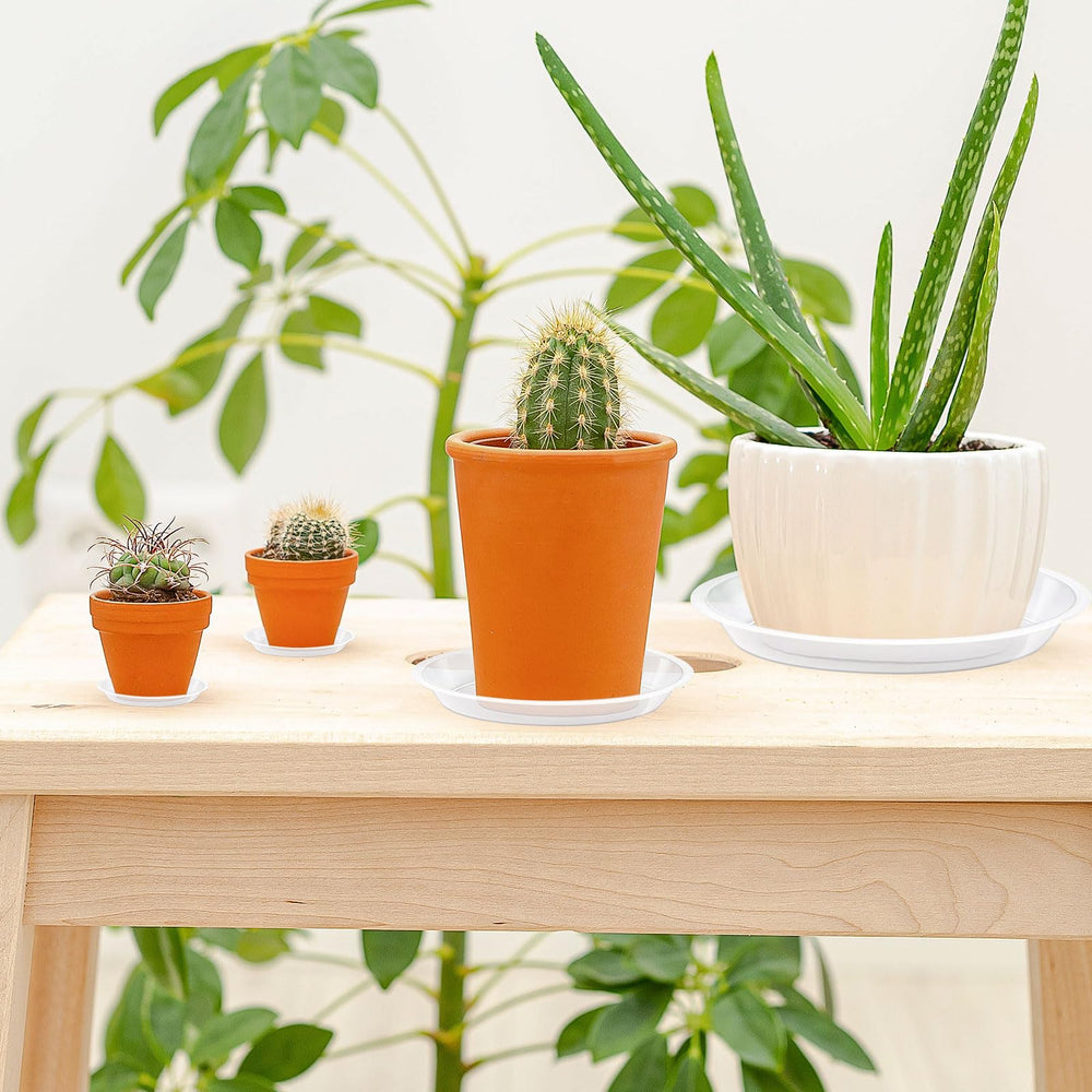 12 inch clear plant saucer from Augshy