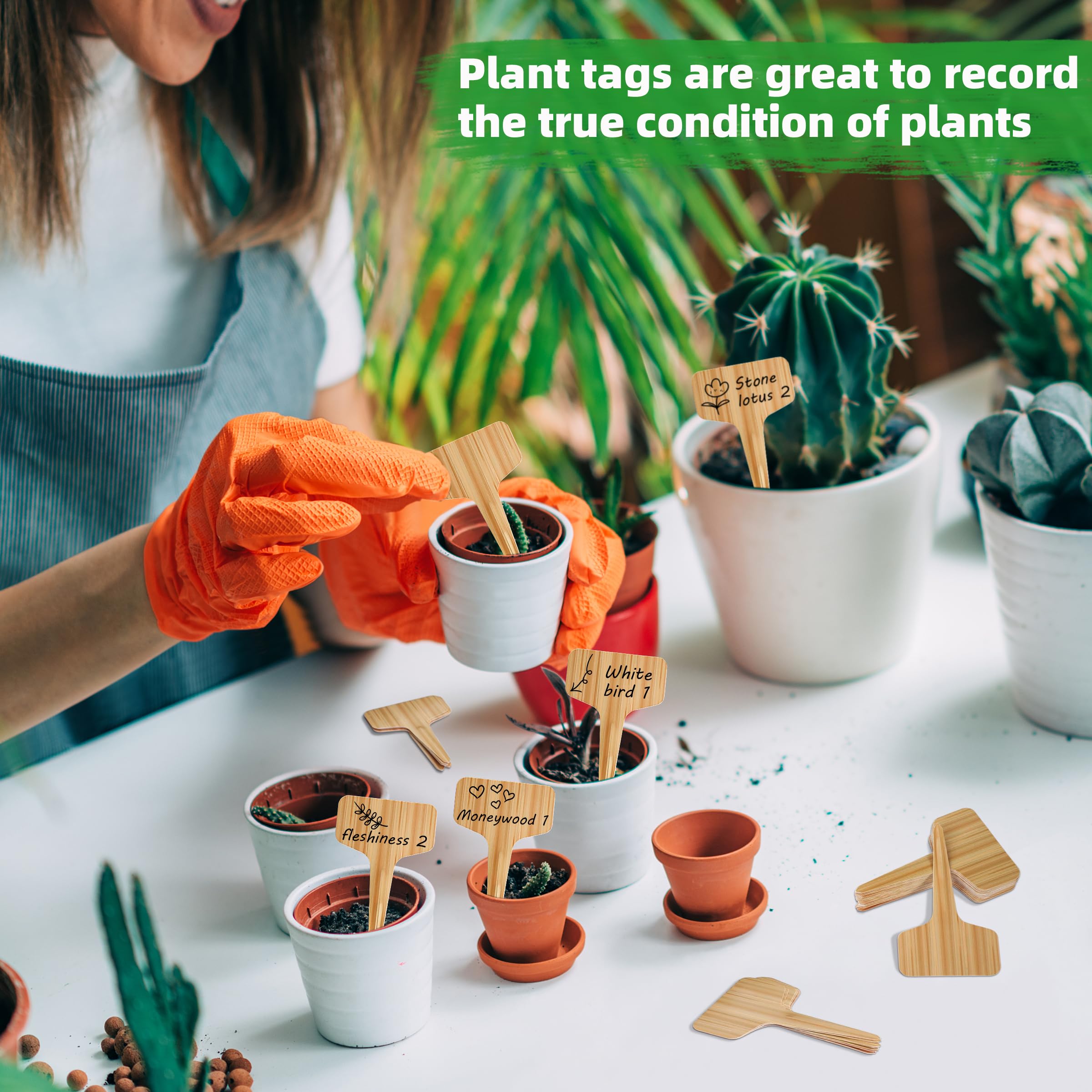120 Pcs Xgunion Plant Labels organized for gardening projects