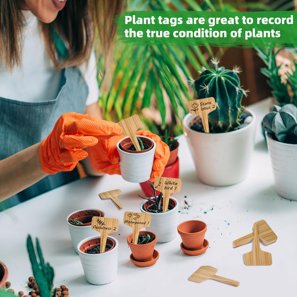 120 Pcs Xgunion Plant Labels organized for gardening projects