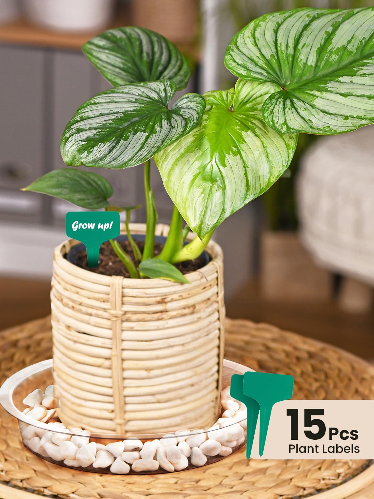 15 free plant labels included with GROWNEER saucers