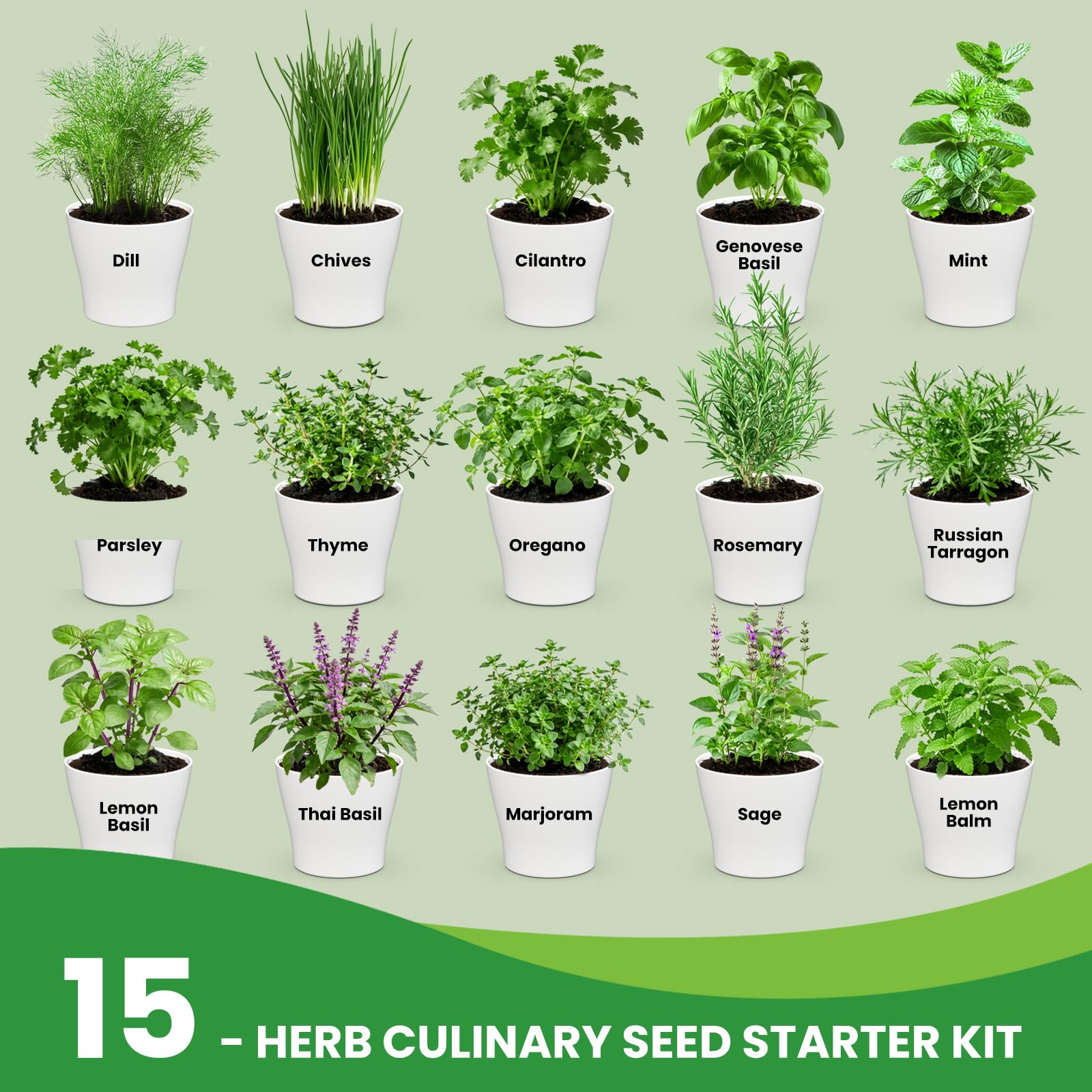 15 herb seed packets included in the Fruivity kit