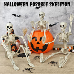 16 inch posable skeleton in a sitting position