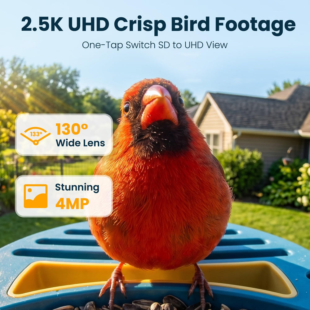 2.5K UHD video capture feature of bird feeder