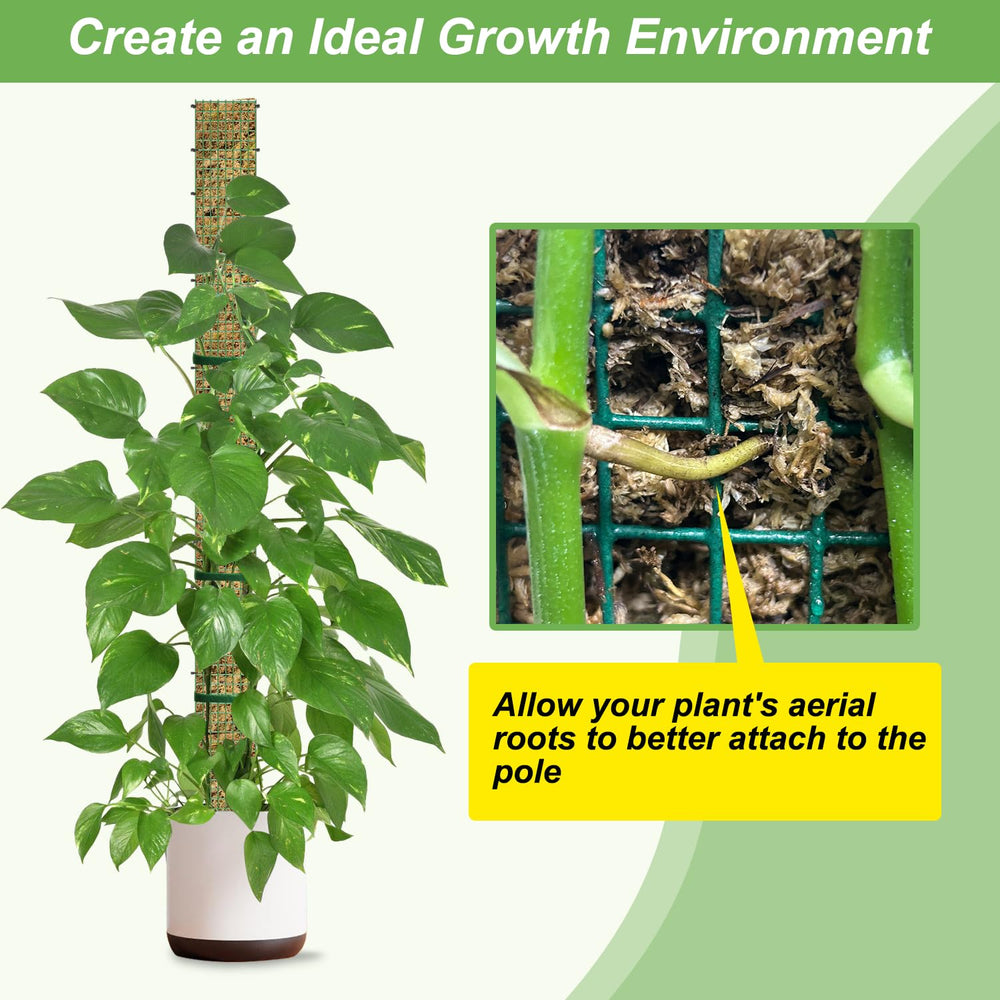 24-inch moss pole from HOLANHING, ideal for small climbing plants