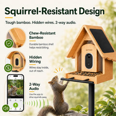 2K HD video capture of birds at DETIKO Smart Bird Feeder