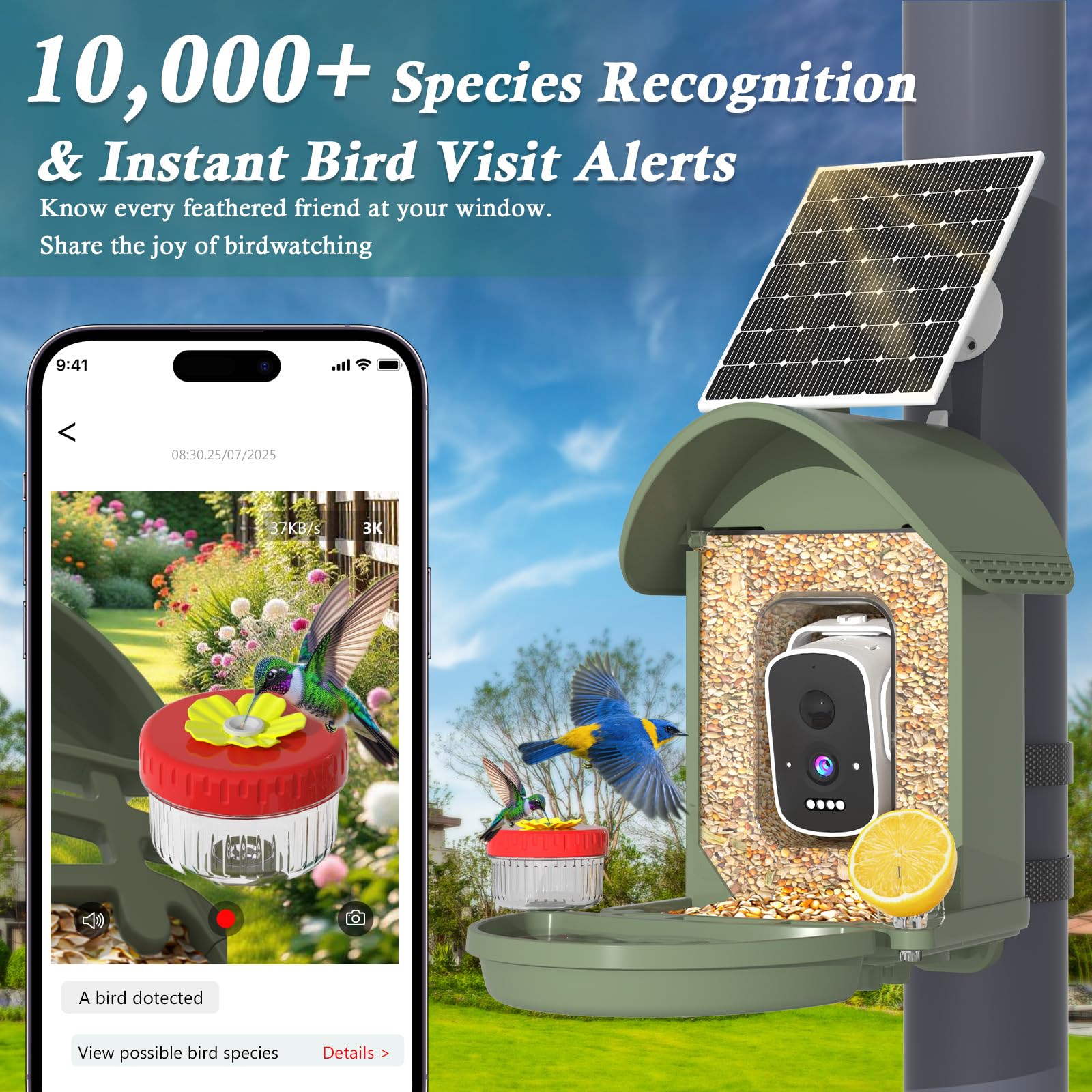3K HD camera view on WAVEEME Smart Bird Feeder