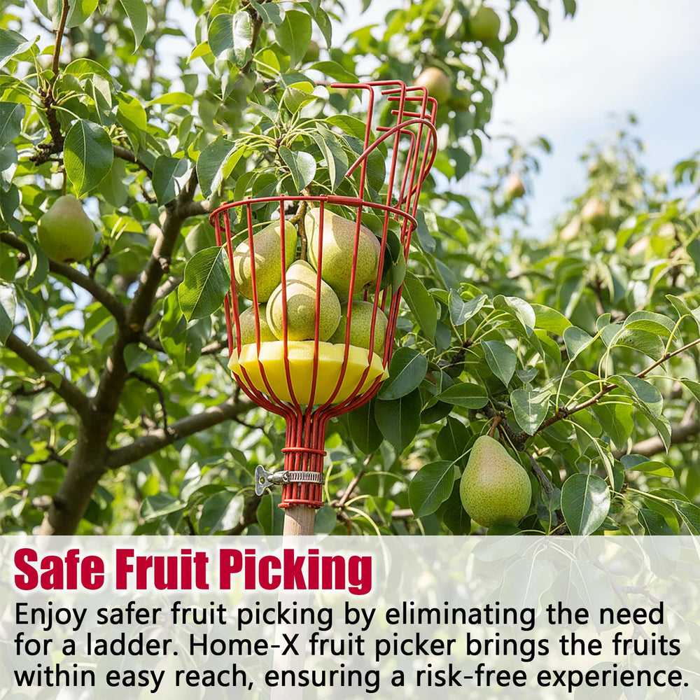 3TVol Fruit Picker Basket dimensions displayed on table