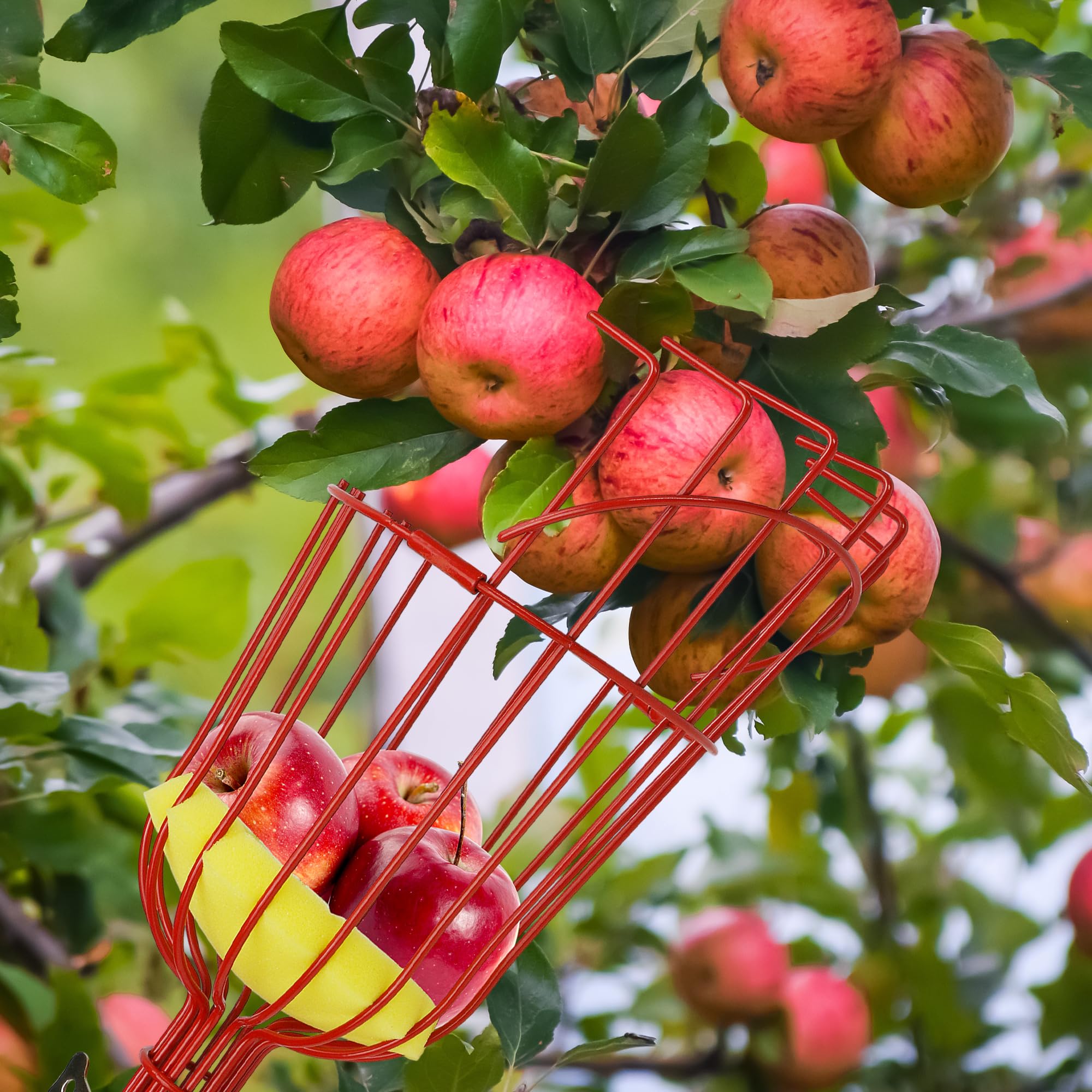 3TVol Fruit Picker Basket side view showcasing foam cushion