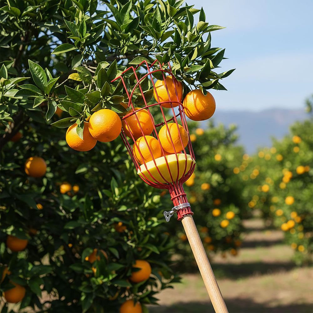 3TVol Fruit Picker Basket surrounded by harvested fruits