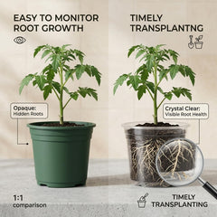 4 inch AFHGGZXZ Clear Nursery Pot with drainage holes