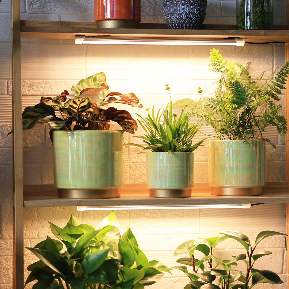 4-inch Gepege ceramic pot for indoor plants