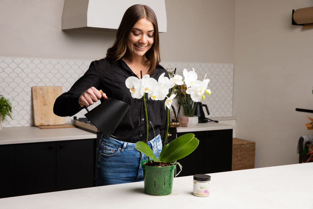 4 inch slotted orchid pot from rePotme