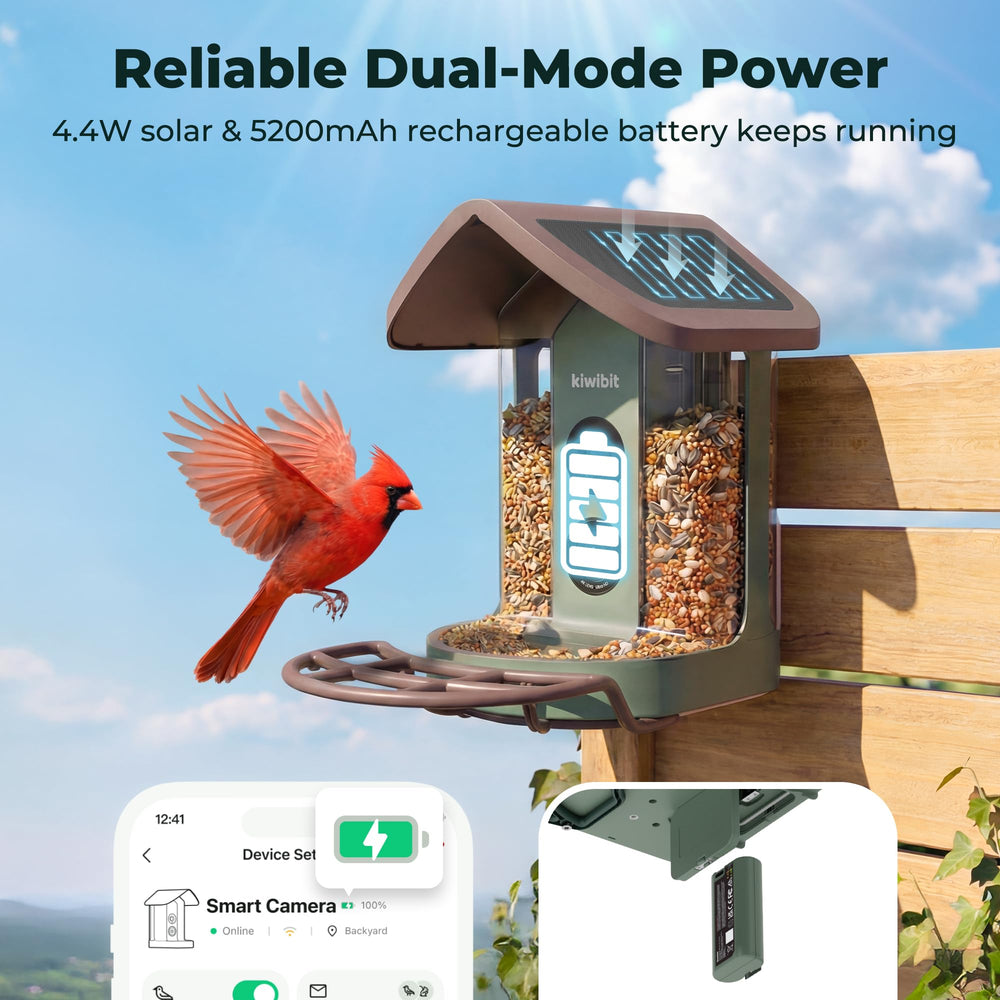 4K video quality captured by Kiwibit Bird Feeder