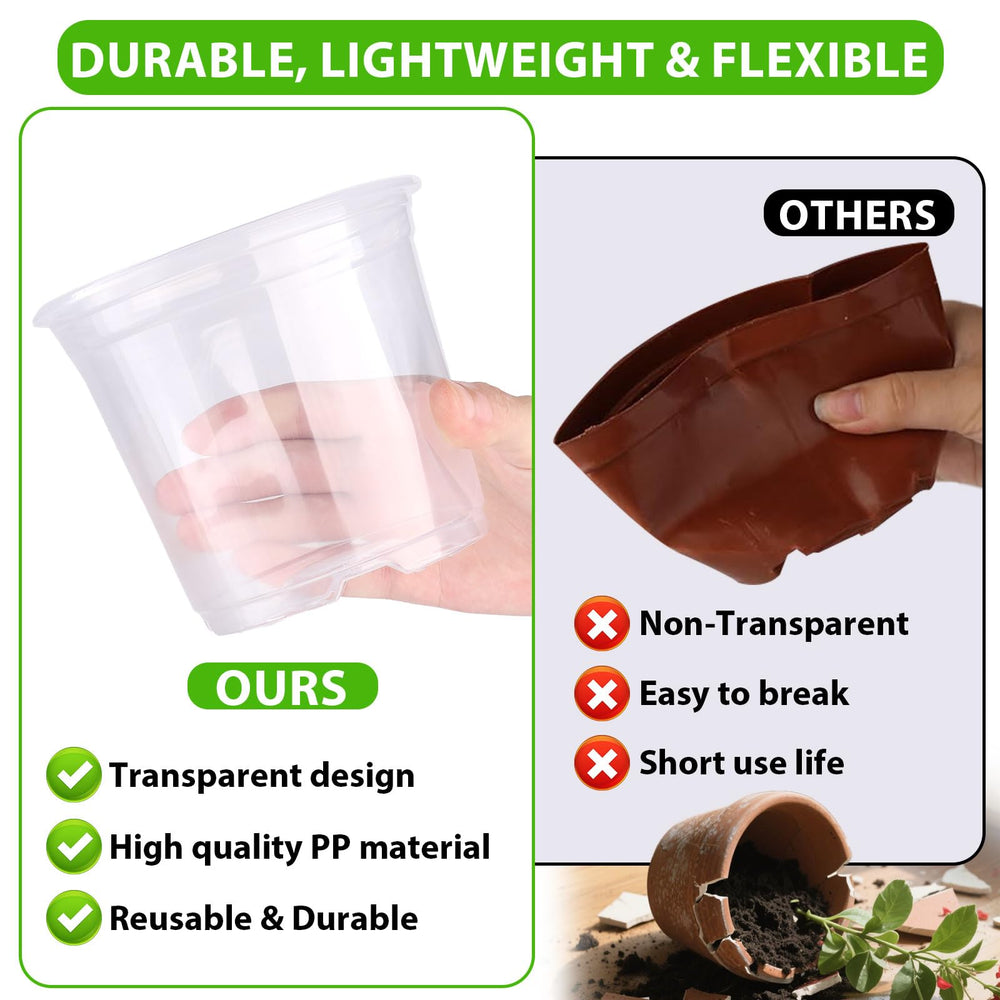 5 inch auriikoop clear nursery pot with plant and drainage holes