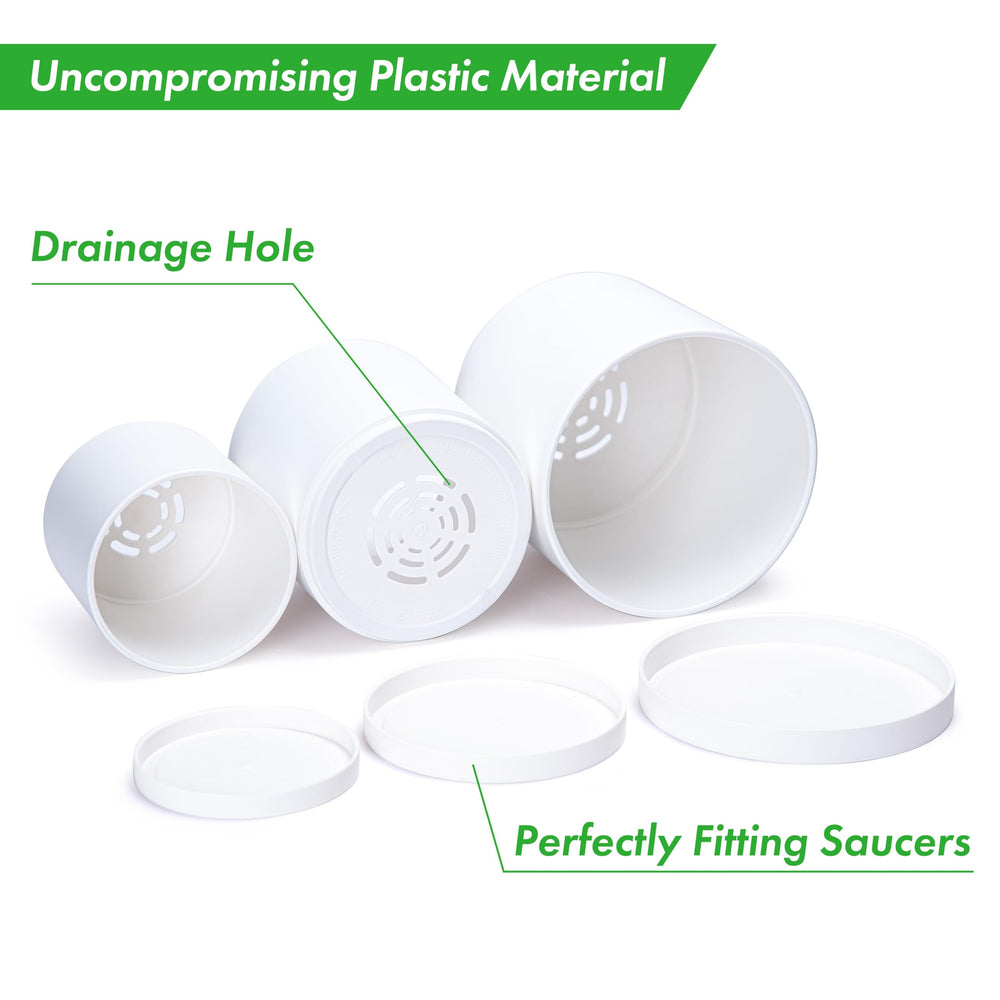 5-inch D'vine Dev plastic pot with matching saucer