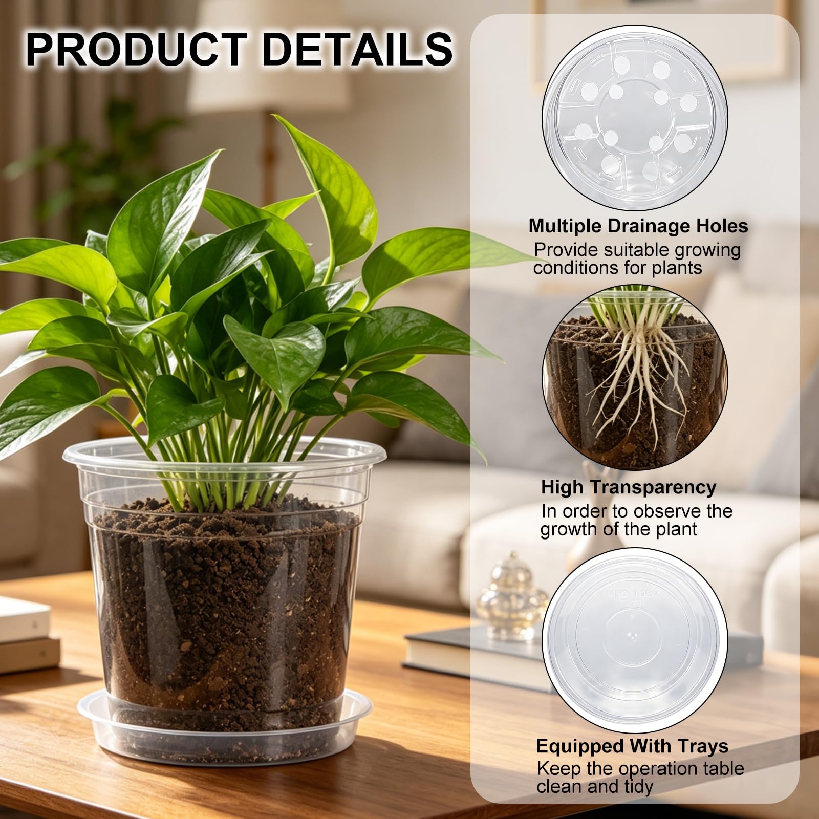 5 inch Hemikaki nursery pot side view with soil