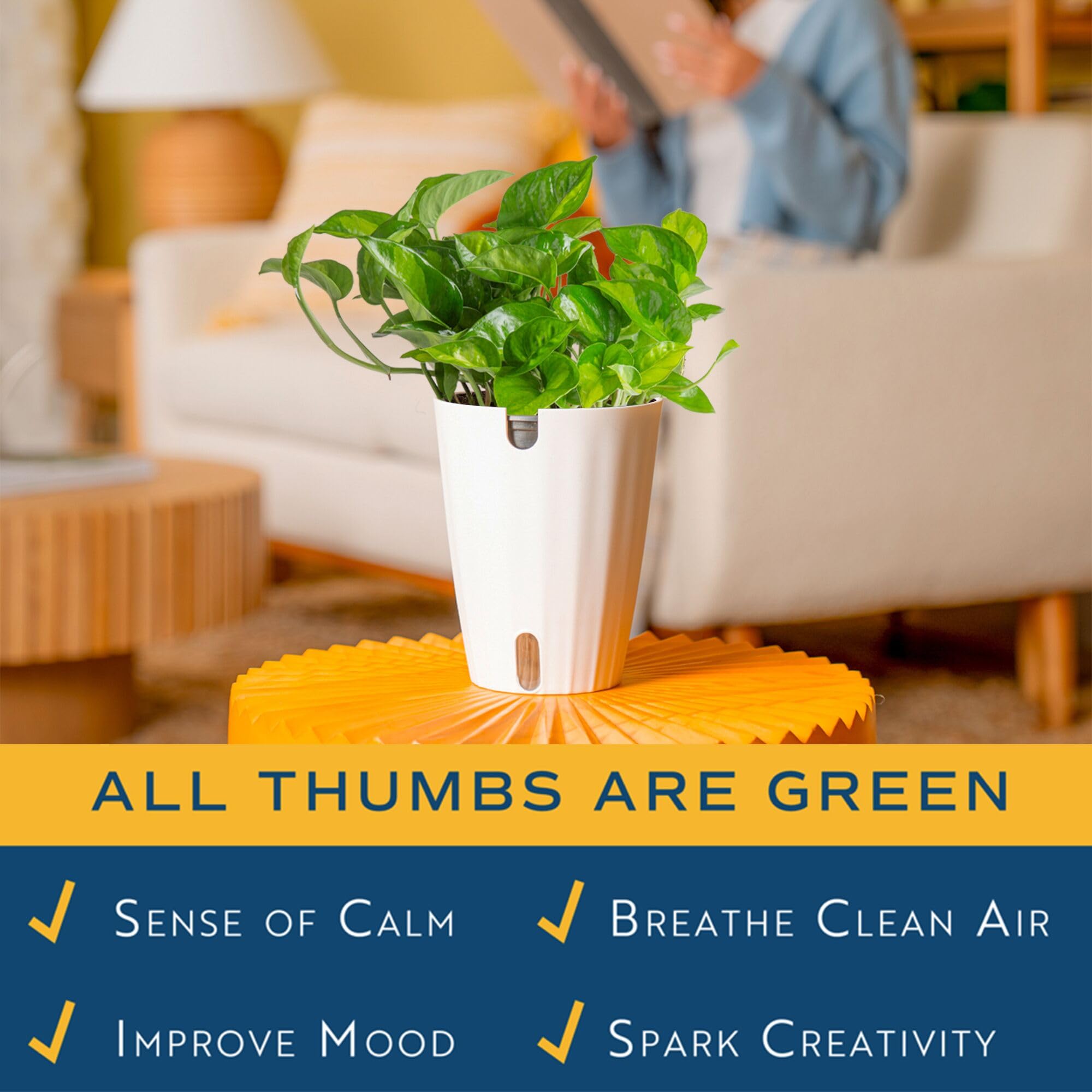 5-inch self-watering pot of Global Green Pothos
