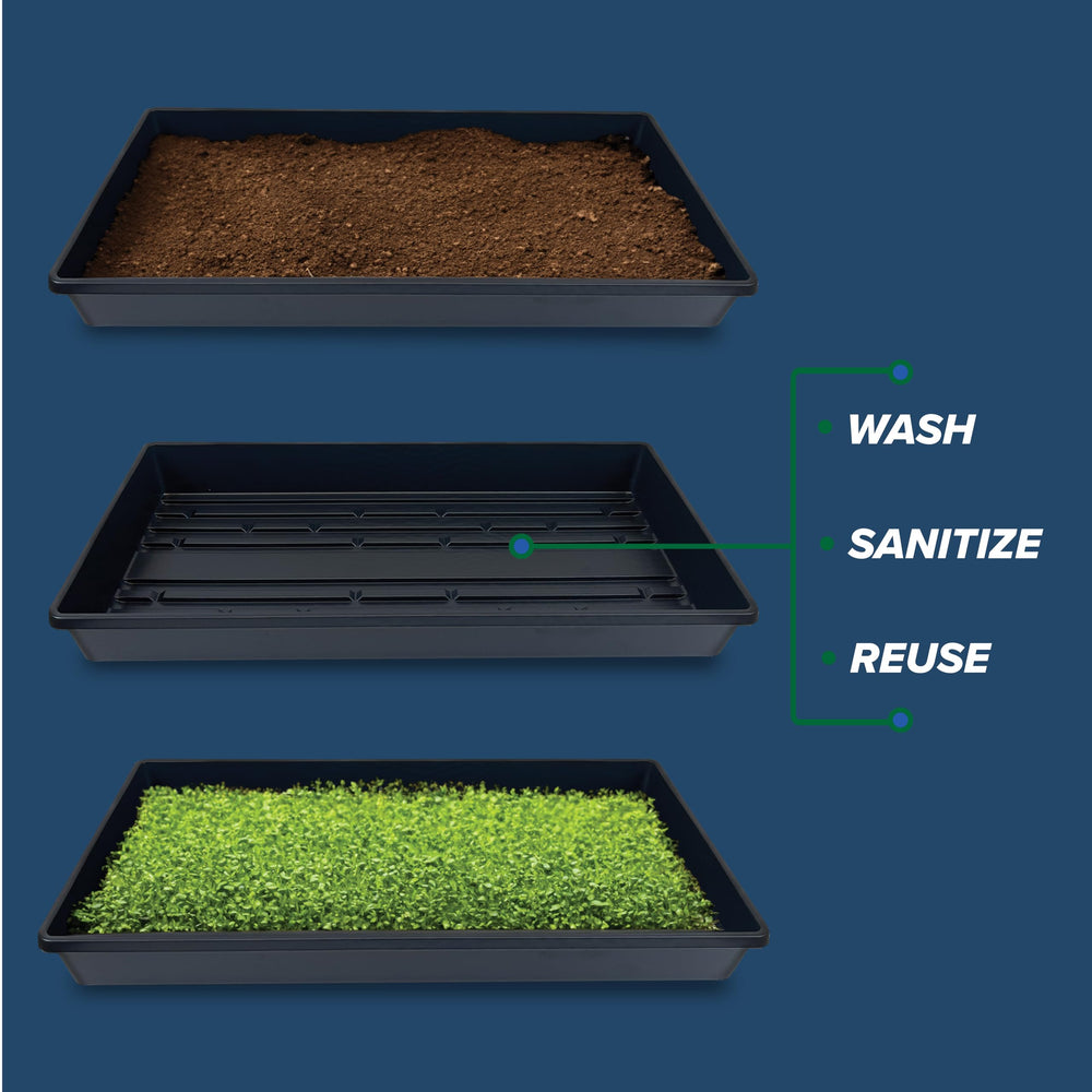 5 pack of Living Whole Foods growing trays stacked