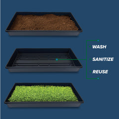 5 pack of Living Whole Foods growing trays stacked