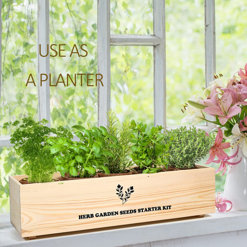 5 types of herb seeds included in Meekear kit