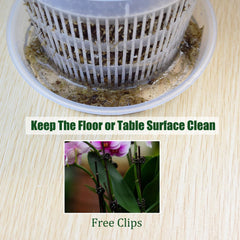 6.3 inch Tialero orchid pot alongside matching saucer