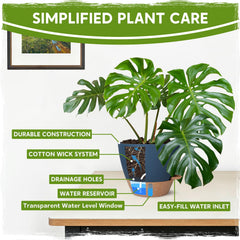 6.5-inch Goproauto pot for flowering plants