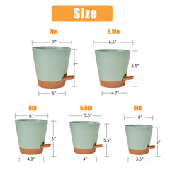 6.5-inch Vanslogreen planter with drainage saucer