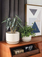 6.8 inch LE TAUCI ceramic pot with drainage hole
