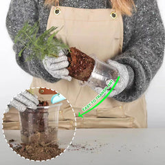 6 inch clear nursery pot from JERIA with visible plant roots