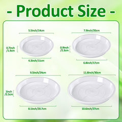 6 inch clear plant saucer from Augshy