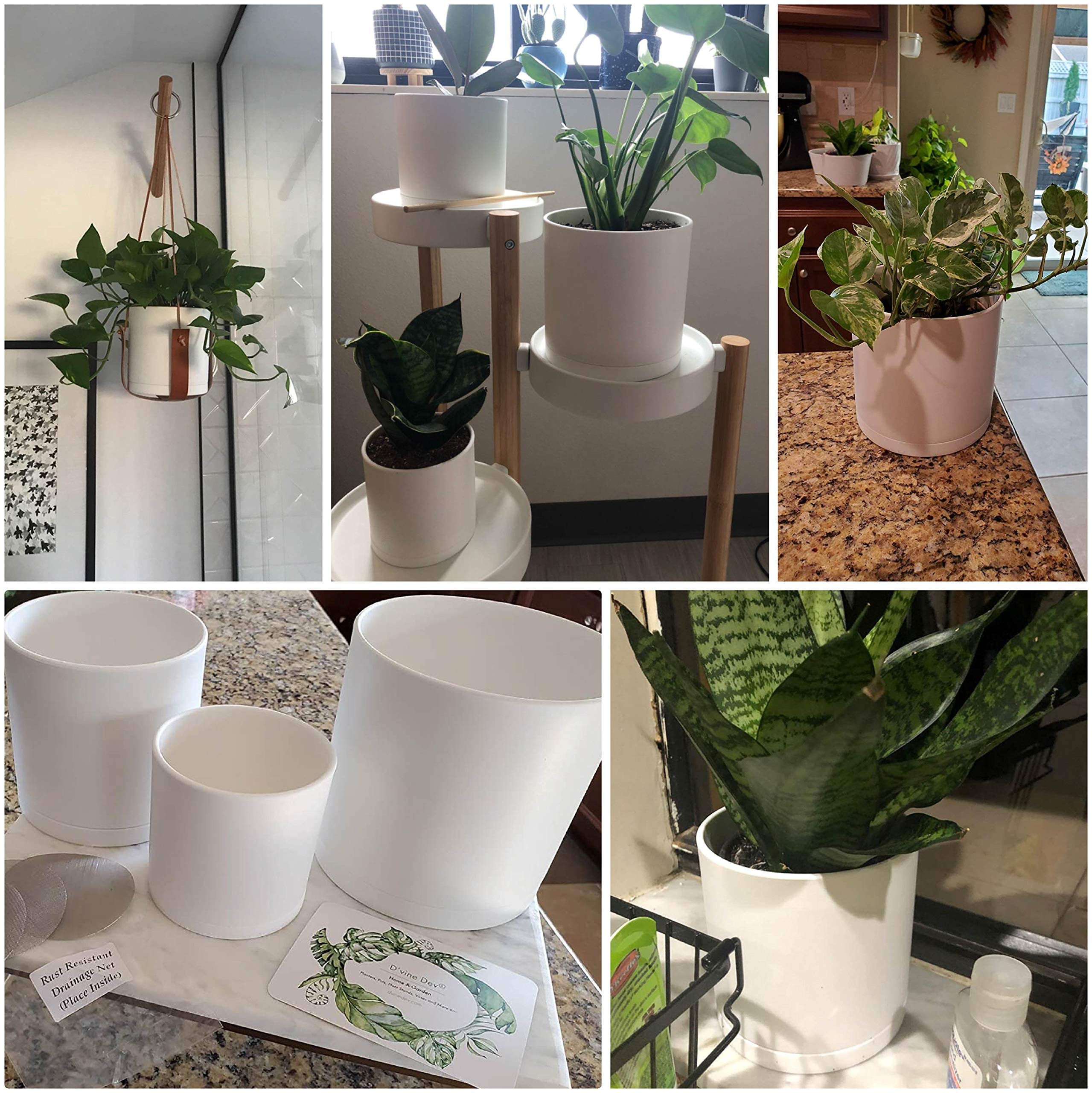 6-inch D'vine Dev plastic pot showcasing drainage mesh net