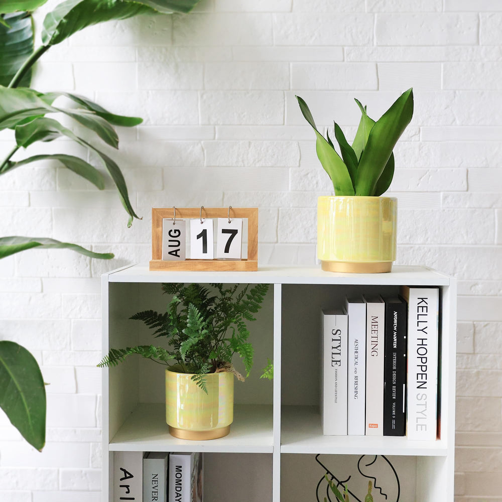 6-inch Gepege ceramic pot with drainage hole
