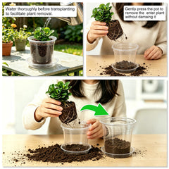 6 inch Hemikaki nursery pot showing drainage holes
