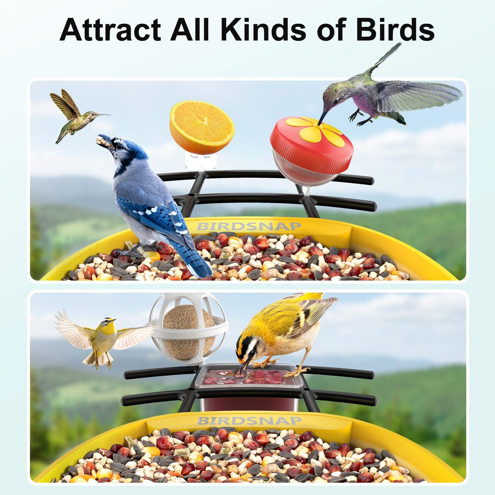 64GB storage card included with birdsnap PAV Bird Feeder