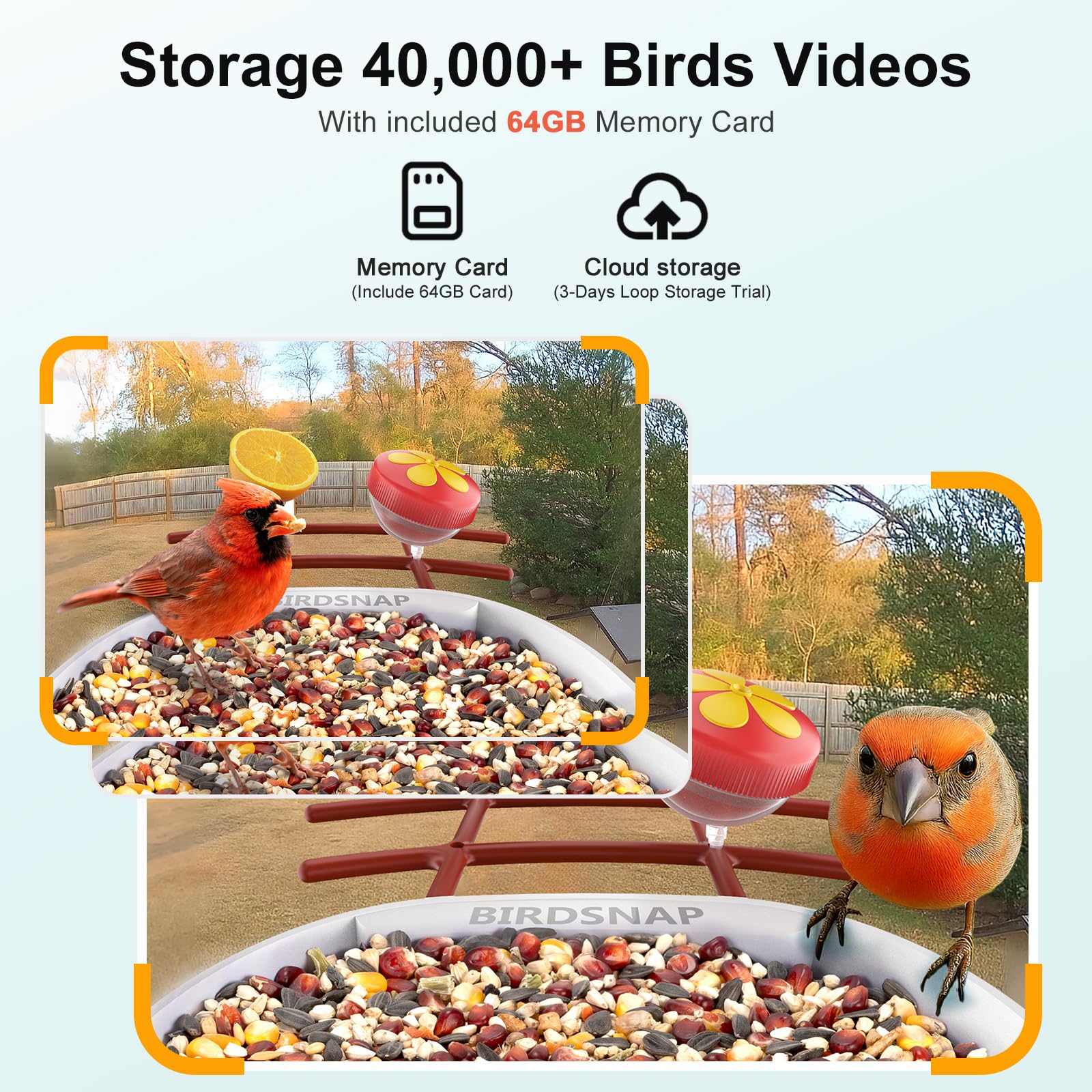 64GB storage card included with the bird feeder