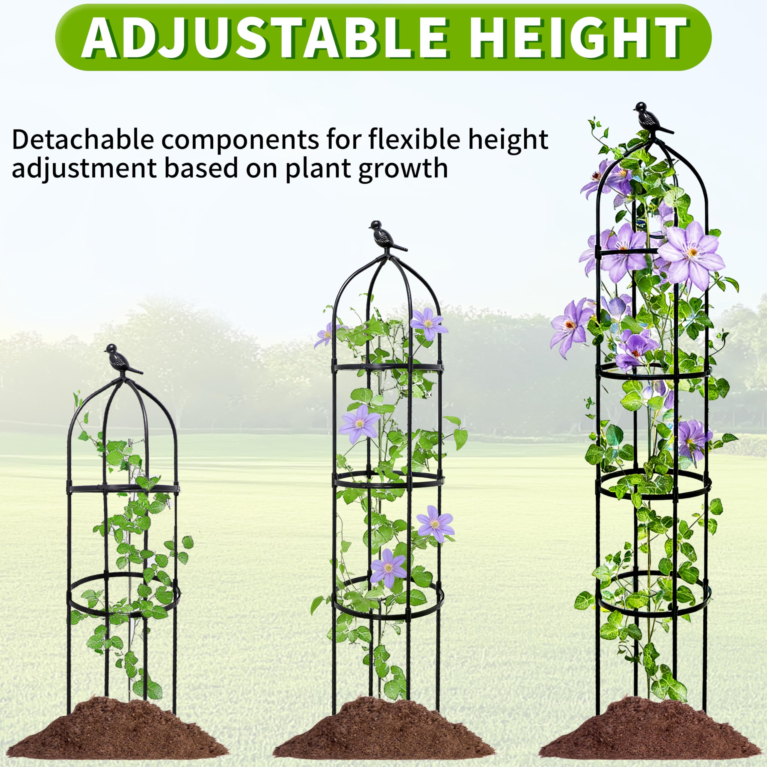 6FT garden trellis supporting climbing roses