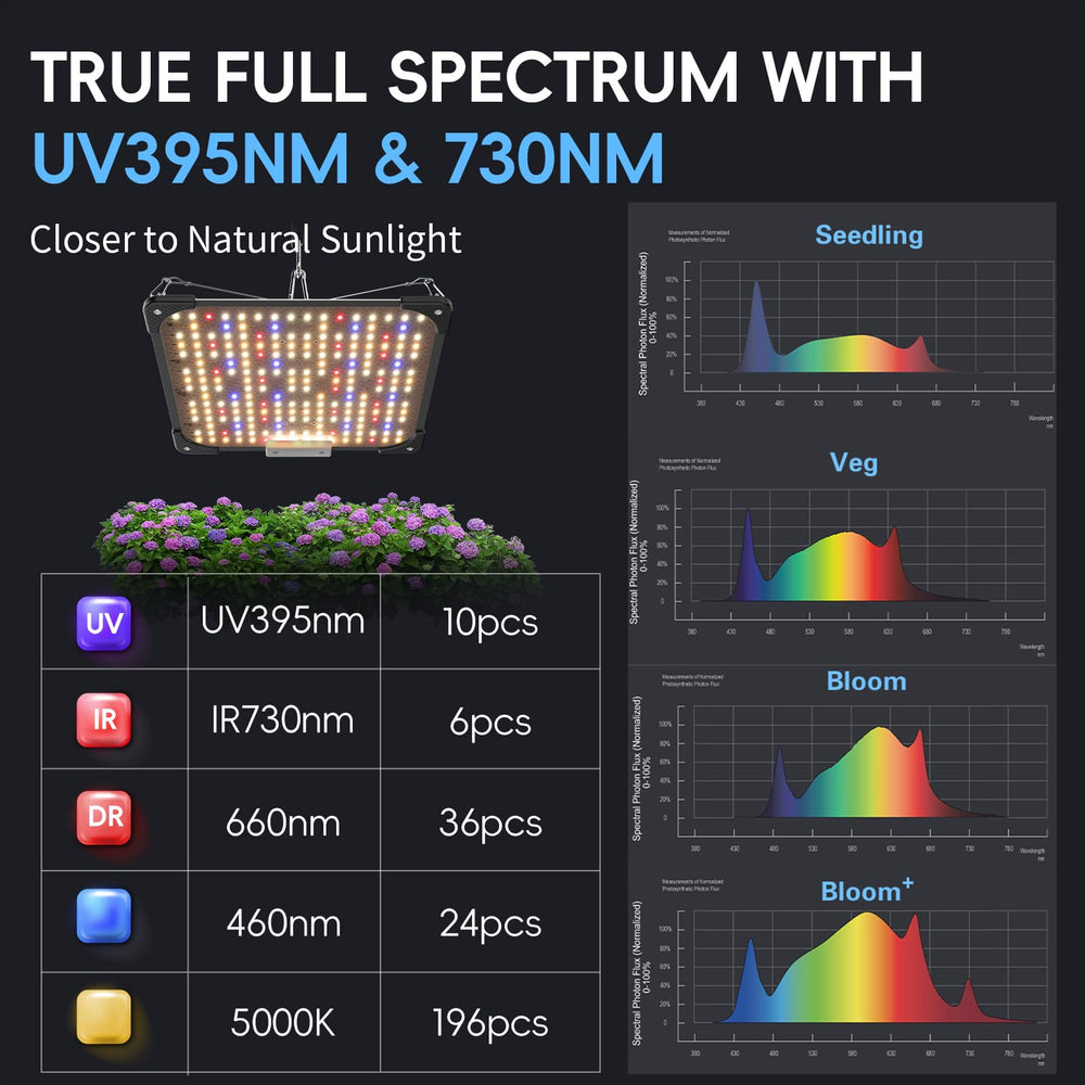 Close-up of URBZUE 60W LED Grow Light diodes