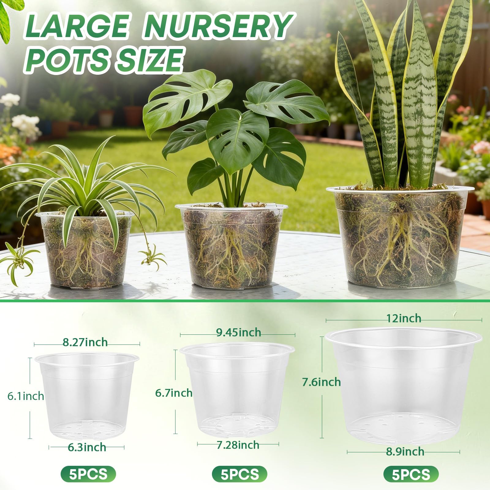 8 inch clear nursery pot from WTXHOP
