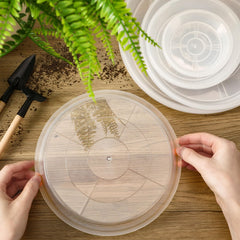 8 inch clear plant saucer from Augshy