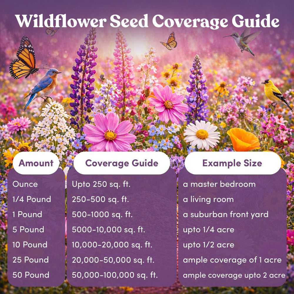 A garden filled with butterflies and colorful flowers from GevaGrow mix