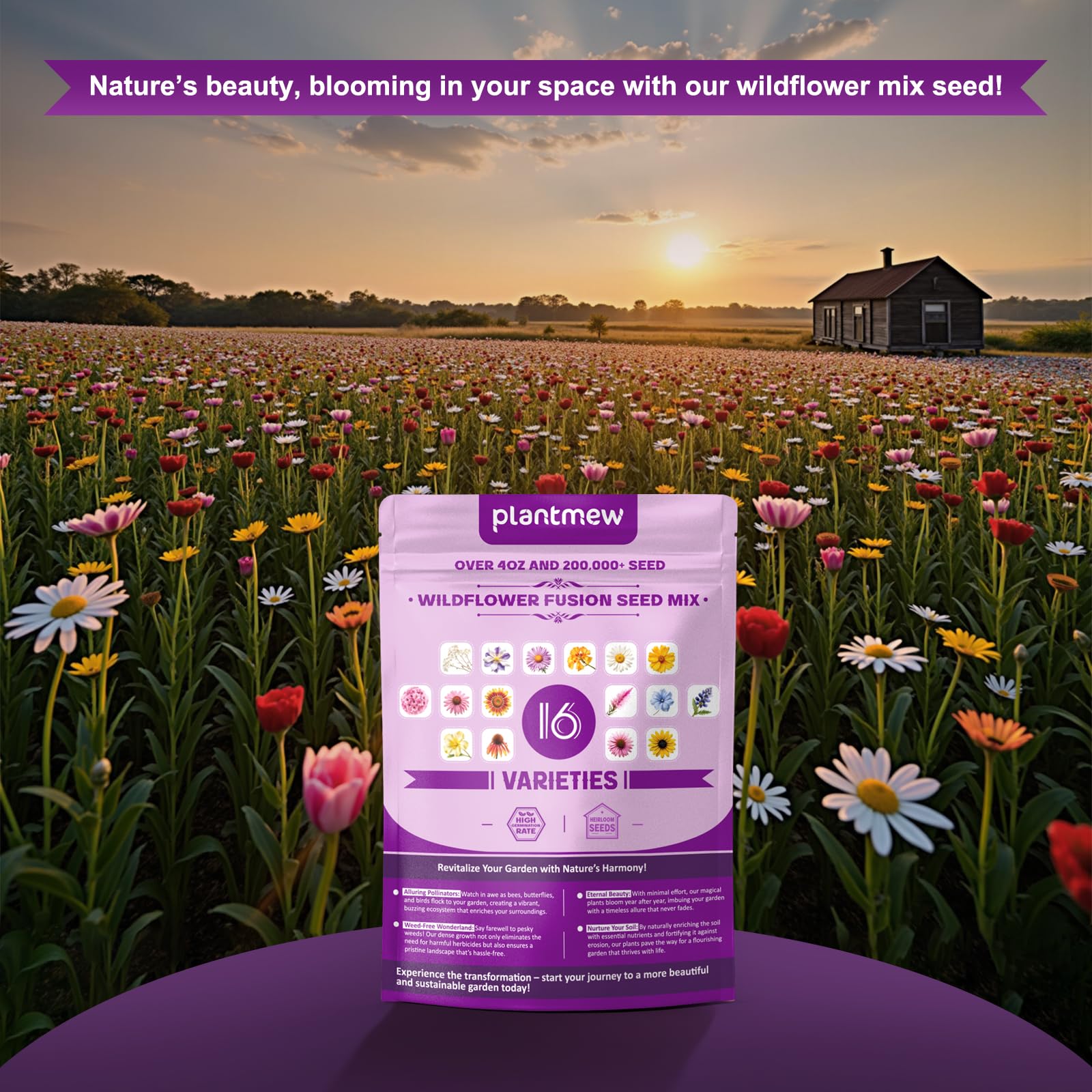 A hand pouring PLANTMEW wildflower seeds into the soil