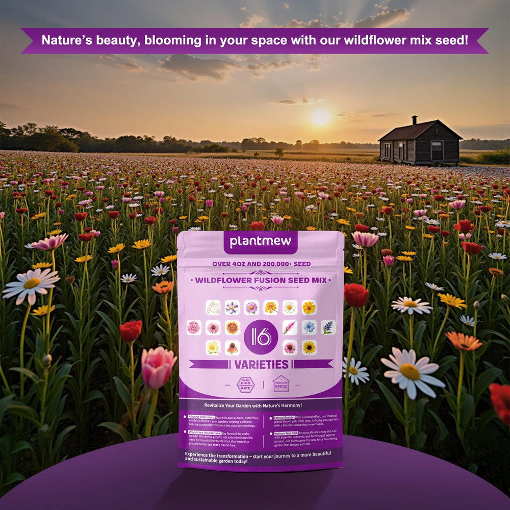 A hand pouring PLANTMEW wildflower seeds into the soil