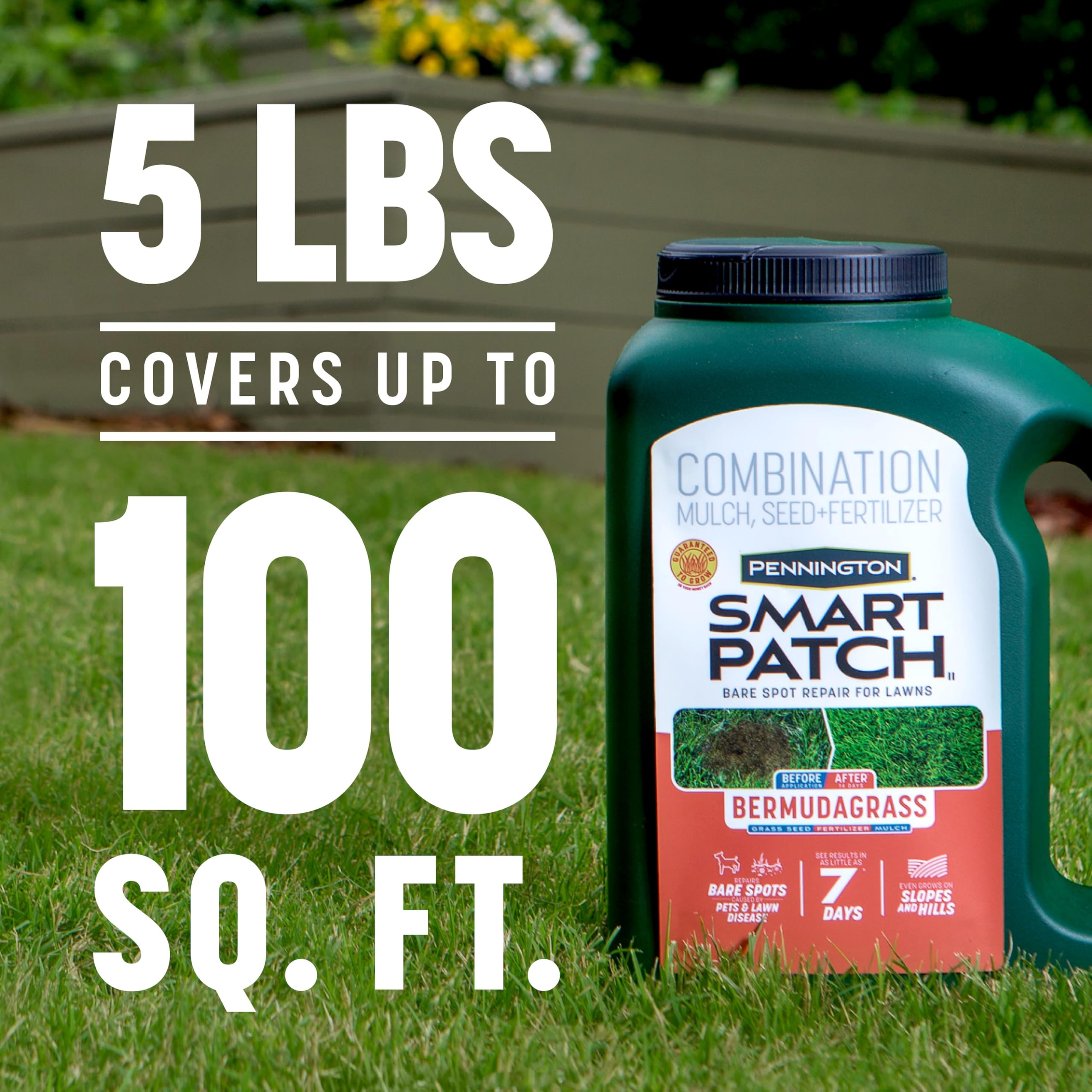 A lush lawn grown with Pennington Smart Patch
