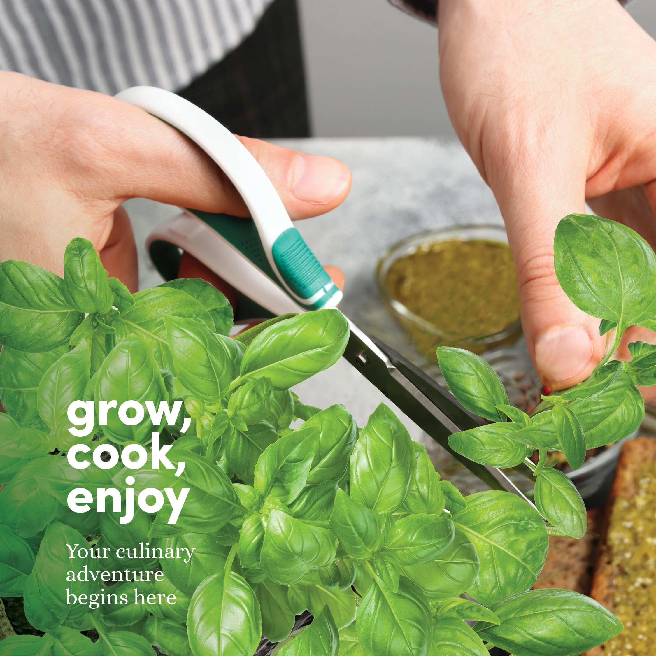 A variety of herbs included in Planters' Choice garden kit