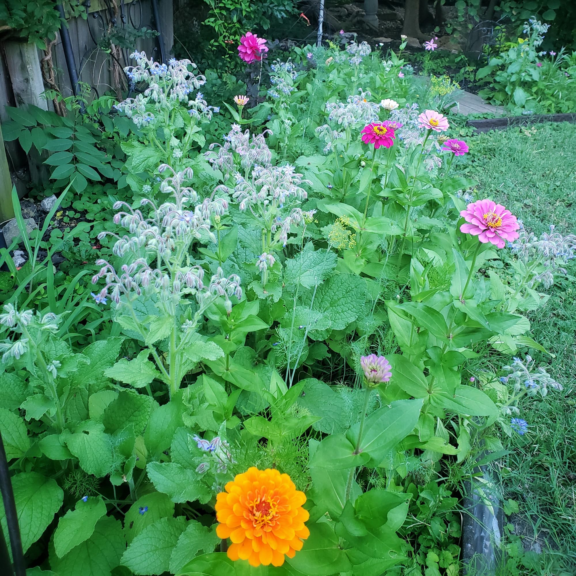 A variety of wildflowers attracting pollinators