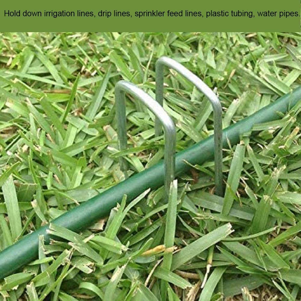AAGUT garden stakes on display with labels