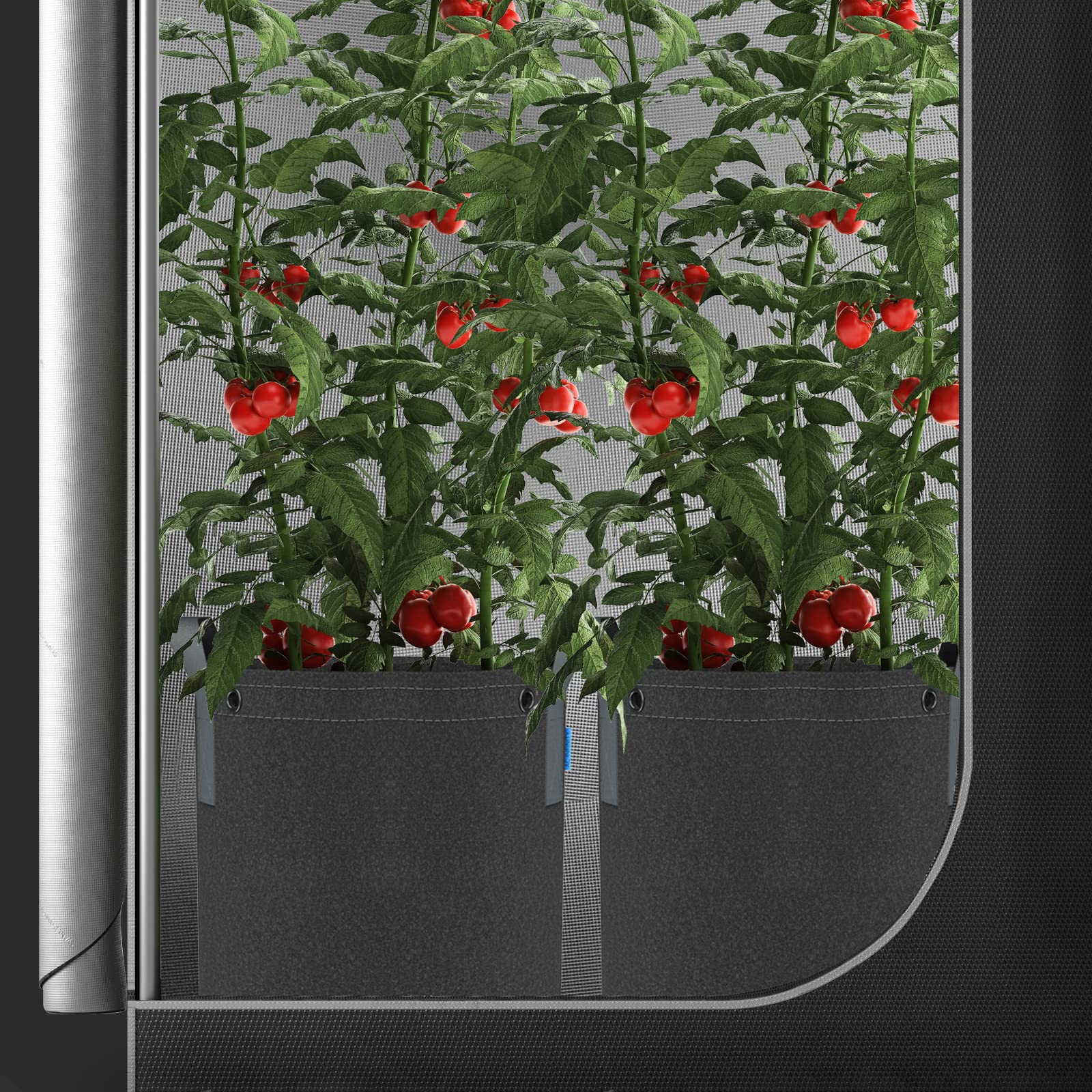 AC Infinity grow bag with plant inside demonstrating use