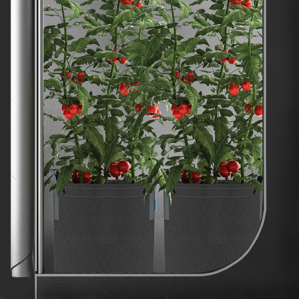 AC Infinity grow bag with plant inside demonstrating use