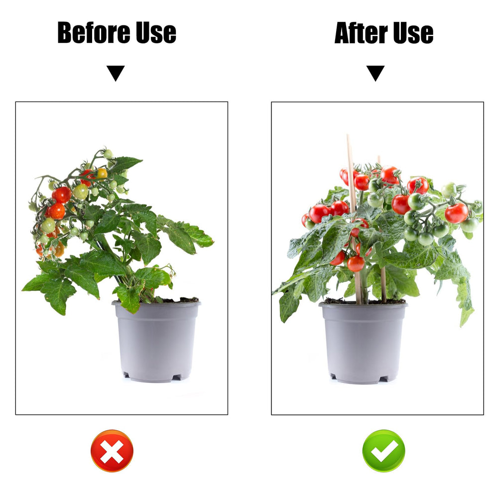 AccEncyc clips attached to a tomato plant for support